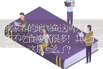 招财鱼鳍和尾巴都烂掉了怎么办？