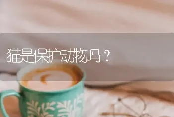 猫是保护动物吗？