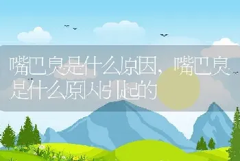 嘴巴臭是什么原因，嘴巴臭是什么原因引起的