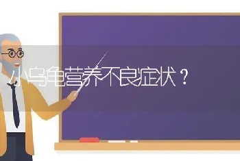 小体比熊能长多少斤？