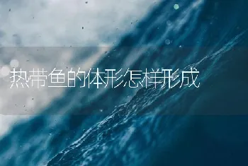 热带鱼的体形怎样形成