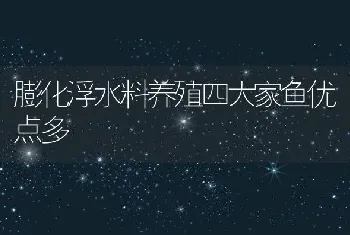 膨化浮水料养殖四大家鱼优点多