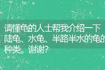 请懂龟的人士帮我介绍一下陆龟、水龟、半路半水的龟的种类。谢谢？