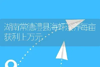 湖南常德澧县海虾淡养每亩获利上万元