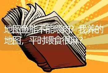 地图鱼能不能喂肉？我养的地图，平时喂食很麻？