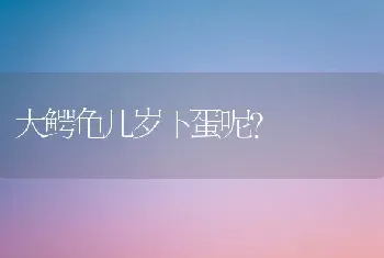 怎么看布偶会不会爆毛，公的布偶猫会爆毛吗？