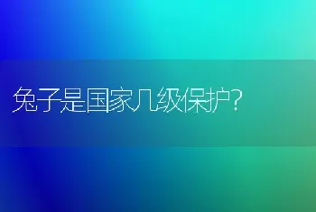 兔子是国家几级保护？