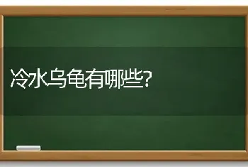 冷水乌龟有哪些？