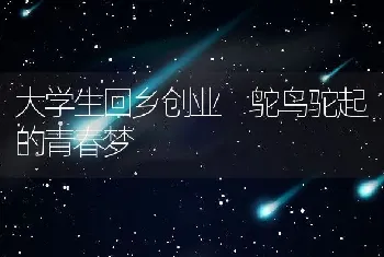 大学生回乡创业 鸵鸟驼起的青春梦