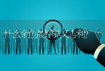 什么金鱼最好养又吉利？