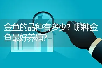 金鱼的品种有多少？哪种金鱼最好养殖？