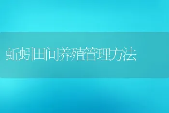 蚯蚓田间养殖管理方法