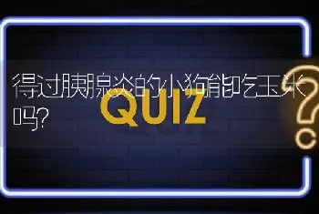 得过胰腺炎的小狗能吃玉米吗？