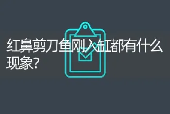 红鼻剪刀鱼刚入缸都有什么现象？