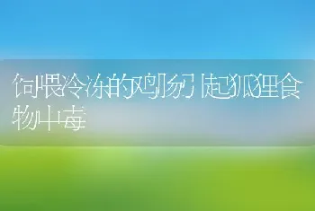 饲喂冷冻的鸡肠引起狐狸食物中毒