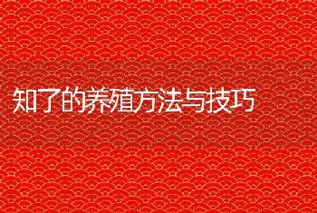 知了的养殖方法与技巧