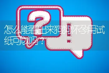 怎么能看出来狗狗怀孕用试纸可以吗？