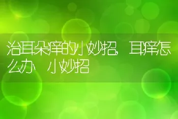 治耳朵痒的小妙招，耳痒怎么办 小妙招