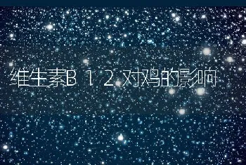 维生素B12对鸡的影响