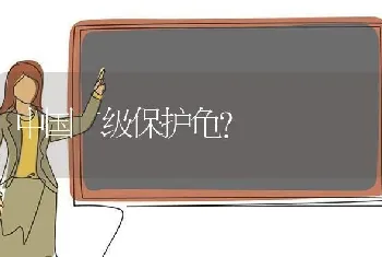 中国二级保护龟？