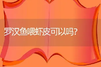 罗汉鱼喂虾皮可以吗？