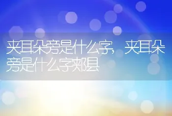 夹耳朵旁是什么字，夹耳朵旁是什么字郏县