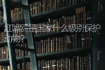 红嘴鸥是国家什么级别保护动物？