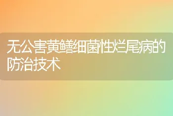 无公害黄鳝细菌性烂尾病的防治技术