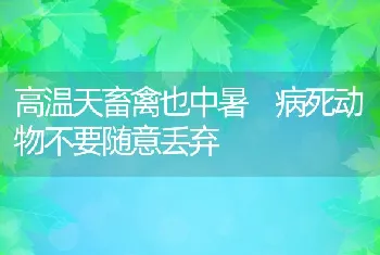 高温天畜禽也中暑病死动物不要随意丢弃