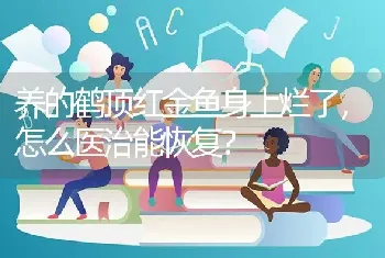 养的鹤顶红金鱼身上烂了，怎么医治能恢复？