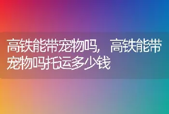 高铁能带宠物吗，高铁能带宠物吗托运多少钱