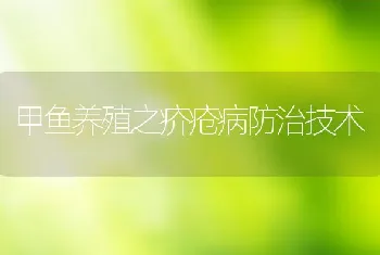 甲鱼养殖之疥疮病防治技术