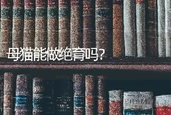 猫咪不做绝育会怎样？