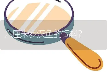 六厘米罗汉鱼的饲料？