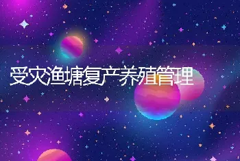 受灾渔塘复产养殖管理