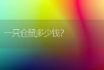 一只仓鼠多少钱？