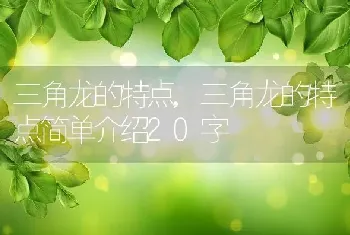 三角龙的特点，三角龙的特点简单介绍20字