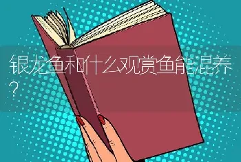 银龙鱼和什么观赏鱼能混养？