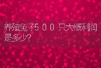 养殖兔子500只大概利润是多少？