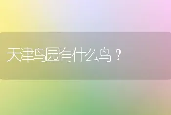 天津鸟园有什么鸟？