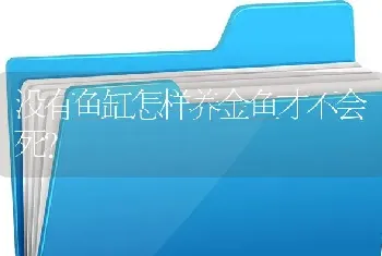 没有鱼缸怎样养金鱼才不会死？