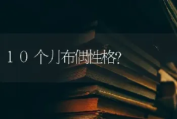 10个月布偶性格？