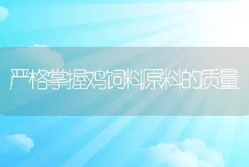 严格掌握鸡饲料原料的质量