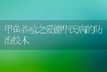 甲鱼养殖之爱德华氏病的防治技术