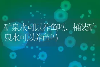 矿泉水可以养鱼吗，桶装矿泉水可以养鱼吗