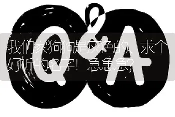 我们家狗狗是灰色的、求个好听的名字！急急急？