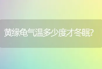 黄缘龟气温多少度才冬眠？