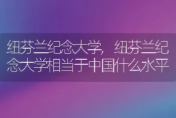 纽芬兰纪念大学，纽芬兰纪念大学相当于中国什么水平