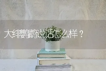 大绯鹦鹉说话怎么样？