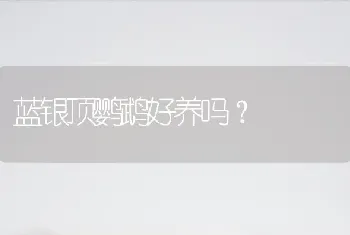 边牧犬的优缺点？